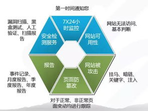 上海互联网软件集团 高端协同管理软件与网络技术服务的领航者